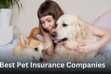 Best Pet Insurance Companies